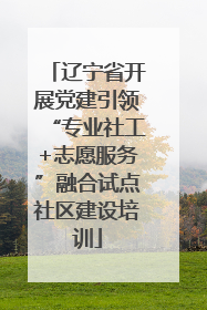 辽宁省开展党建引领“专业社工+志愿服务”融合试点社区建设培训