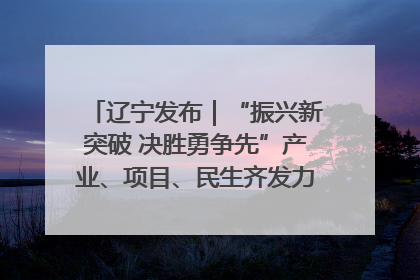 辽宁发布｜“振兴新突破 决胜勇争先”产业、项目、民生齐发力 葫芦岛按下决胜之年“加速键”