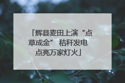 辉县麦田上演“点草成金” 秸秆发电点亮万家灯火