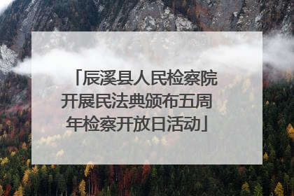 辰溪县人民检察院开展民法典颁布五周年检察开放日活动