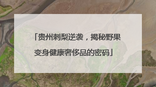 贵州刺梨逆袭，揭秘野果变身健康奢侈品的密码