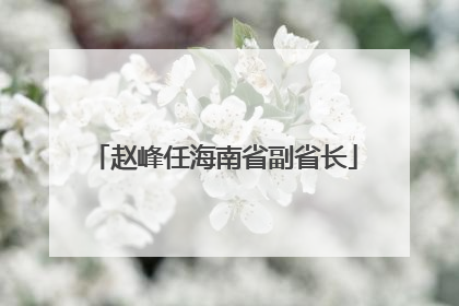赵峰任海南省副省长