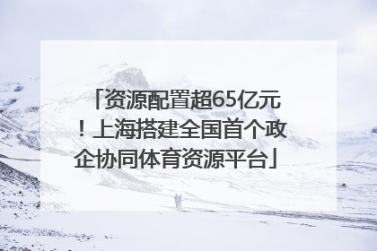 资源配置超65亿元！上海搭建全国首个政企协同体育资源平台
