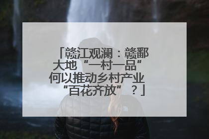 赣江观澜：赣鄱大地“一村一品”何以推动乡村产业“百花齐放”？