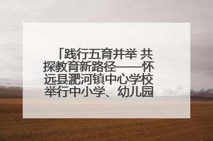 践行五育并举 共探教育新路径——怀远县淝河镇中心学校举行中小学、幼儿园班主任论坛活动