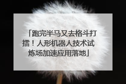 跑完半马又去格斗打擂！人形机器人技术试炼场加速应用落地
