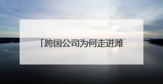 跨国公司为何走进潍坊？从跨国公司合作对接会看潍坊引力