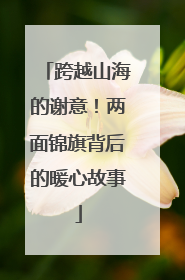 跨越山海的谢意！两面锦旗背后的暖心故事