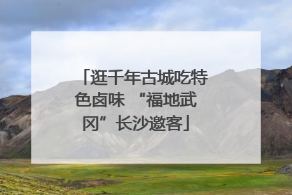 逛千年古城吃特色卤味 “福地武冈”长沙邀客