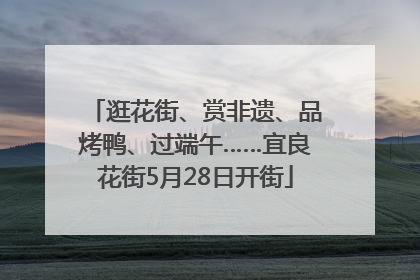 逛花街、赏非遗、品烤鸭、过端午……宜良花街5月28日开街