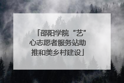 邵阳学院“艺”心志愿者服务站助推和美乡村建设