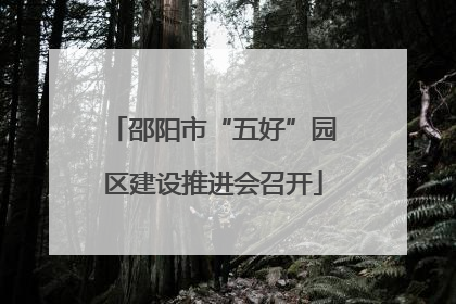 邵阳市“五好”园区建设推进会召开