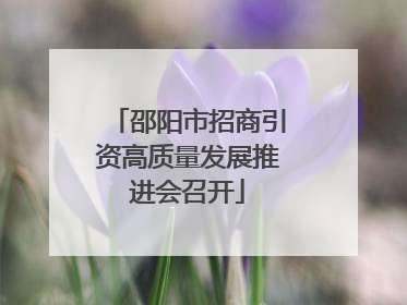 邵阳市招商引资高质量发展推进会召开