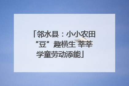 邻水县：小小农田“豆”趣横生 莘莘学童劳动添能