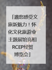 邀您感受文旅新魅力！怀化文化旅游业主题展馆亮相RCEP经贸博览会