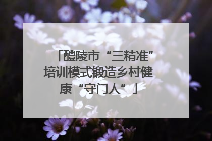 醴陵市“三精准”培训模式锻造乡村健康“守门人”