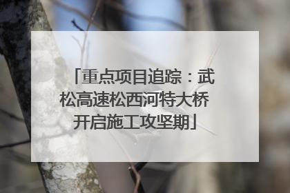 重点项目追踪：武松高速松西河特大桥开启施工攻坚期