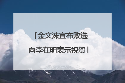 金文洙宣布败选 向李在明表示祝贺