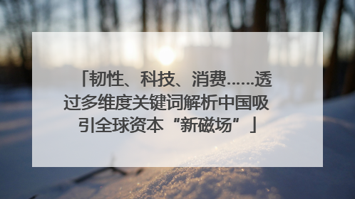 韧性、科技、消费……透过多维度关键词解析中国吸引全球资本“新磁场”