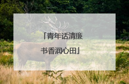 青年话清廉 书香润心田