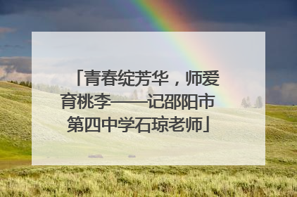 青春绽芳华，师爱育桃李——记邵阳市第四中学石琼老师