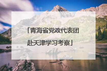 青海省党政代表团赴天津学习考察