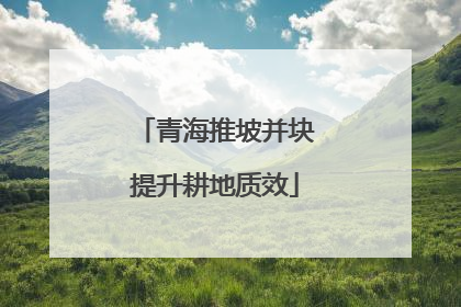 青海推坡并块提升耕地质效