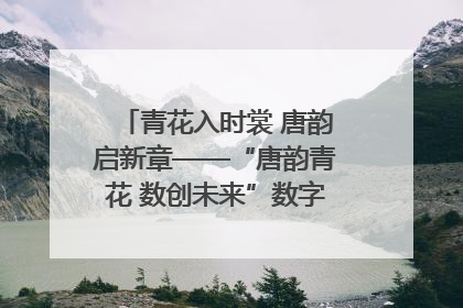 青花入时裳 唐韵启新章——“唐韵青花 数创未来”数字文创设计大赛启幕