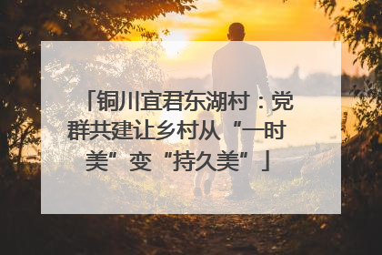 铜川宜君东湖村：党群共建让乡村从“一时美”变“持久美”