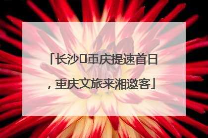 长沙⇌重庆提速首日，重庆文旅来湘邀客