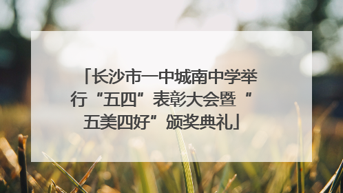 长沙市一中城南中学举行“五四”表彰大会暨“五美四好”颁奖典礼