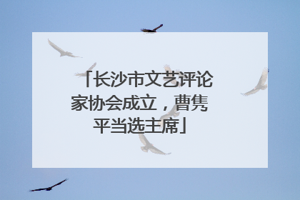 长沙市文艺评论家协会成立，曹隽平当选主席