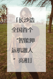 长沙造全国首个“智能押运机器人”亮相