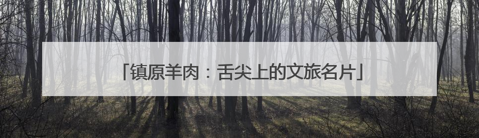 镇原羊肉：舌尖上的文旅名片