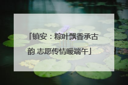 镇安：粽叶飘香承古韵 志愿传情暖端午