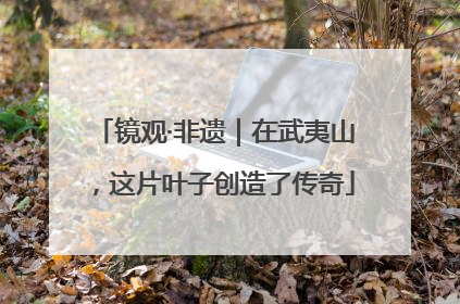 镜观·非遗｜在武夷山，这片叶子创造了传奇