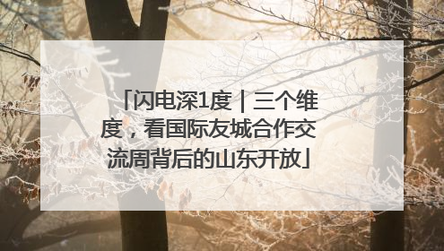 闪电深1度｜三个维度，看国际友城合作交流周背后的山东开放