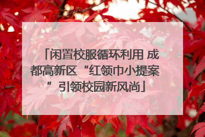 闲置校服循环利用 成都高新区“红领巾小提案”引领校园新风尚