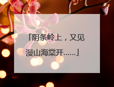 阴条岭上，又见漫山海棠开……