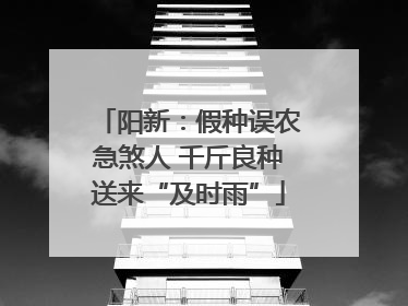 阳新：假种误农急煞人 千斤良种送来“及时雨”