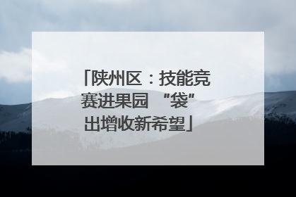 陕州区：技能竞赛进果园 “袋”出增收新希望