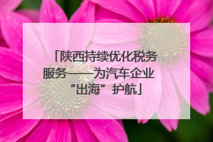 陕西持续优化税务服务——为汽车企业“出海”护航