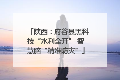 陕西：府谷县黑科技“水利全开” 智慧脑“精准防灾”