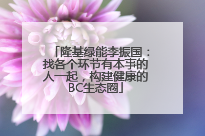 隆基绿能李振国：找各个环节有本事的人一起，构建健康的BC生态圈