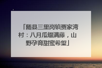 随县三里岗镇贾家湾村：八月瓜缀满藤，山野孕育甜蜜希望