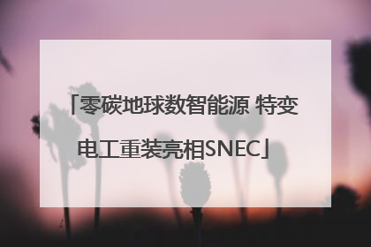 零碳地球数智能源 特变电工重装亮相SNEC