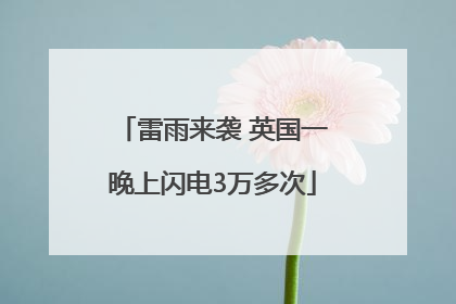 雷雨来袭 英国一晚上闪电3万多次