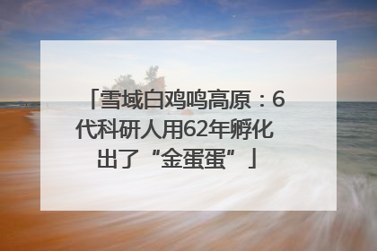 雪域白鸡鸣高原：6代科研人用62年孵化出了“金蛋蛋”