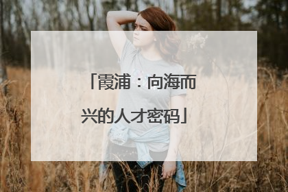 霞浦：向海而兴的人才密码