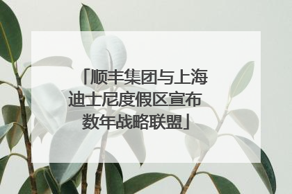 顺丰集团与上海迪士尼度假区宣布数年战略联盟